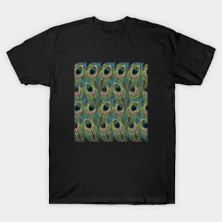 Realistic Peacock Feather Pattern T-Shirt